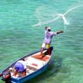 water sports in Barbados